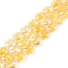 Natural Citrine Beads Strands, with Seed Beads, Faceted Hexagonal Cut, Flat Round