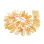 Natural Citrine Beads Strands, Top Drilled Beads, Rectangle