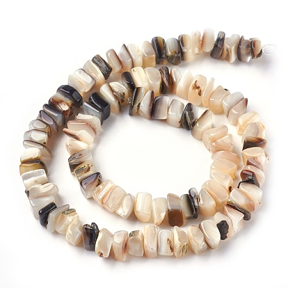 Freshwater Shell Beads Strands, Square Chip