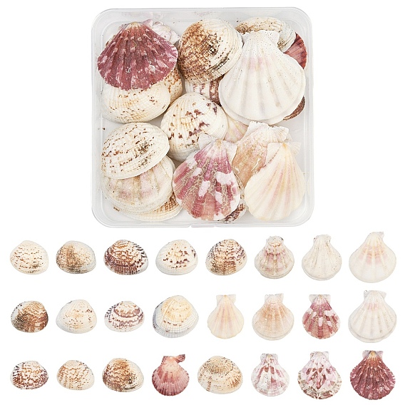 100g 2 стили бусины из ракушек, бусины без отверстий , формы раковины