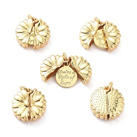 Brass Micro Pave Clear Cubic Zirconia Openable Pendants, Long-Lasting Plated, Flower with Word You're a Light of Hope