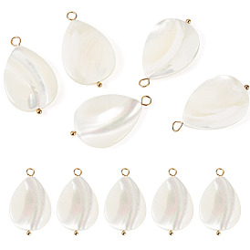 5 pièces pendentifs en forme de larme en coquillage naturel, avec 304 boucles en acier inoxydable, couleur de coquillage, placage ionique (ip)