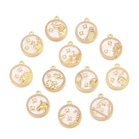 Alloy Enamel Pendants, Twelve Constellations, Round