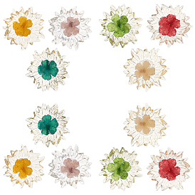SUNNYCLUE 12Pcs 6 Colors Transparent Clear Epoxy Resin Cabochons, with Dried Flower Inside, Flower