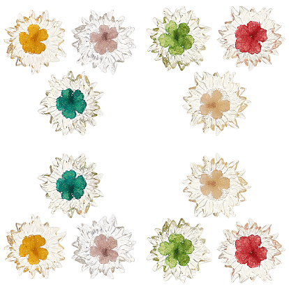 12Pcs 6 Colors Transparent Clear Epoxy Resin Cabochons, with Dried Flower Inside, Flower