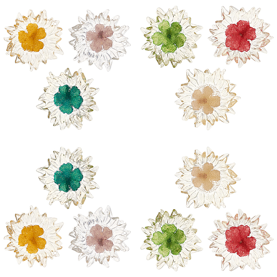 12 Stück 6 Farben transparente klare Epoxidharz-Cabochons, mit getrockneten Blumen im Inneren, Blume
