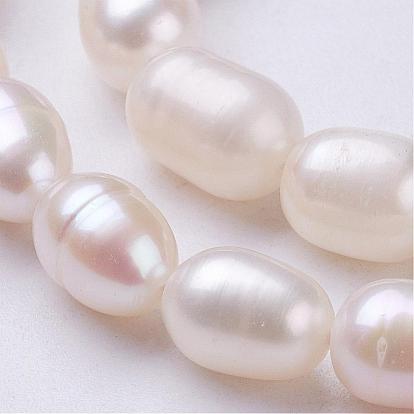 Grade AA Natural Cultured Freshwater Pearl Beads Strands, Oval