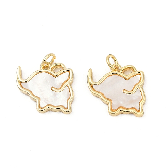 Подвески из латуни с натуральными белыми ракушками, Слон прелести, без кадмия и без свинца, прочное покрытие, стойки покрытие