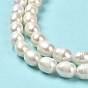 Natural Cultured Freshwater Pearl Beads Strands, Rice, Grade 3A