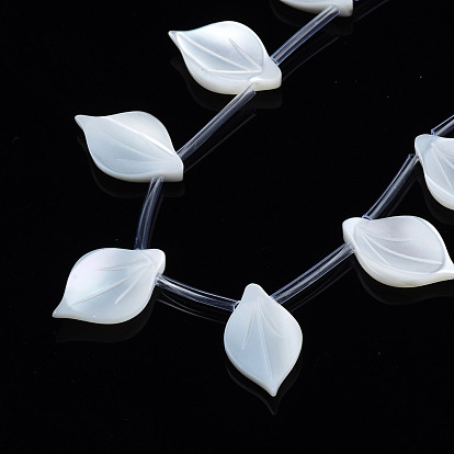 Natural White Shell Beads Strands, Leaf