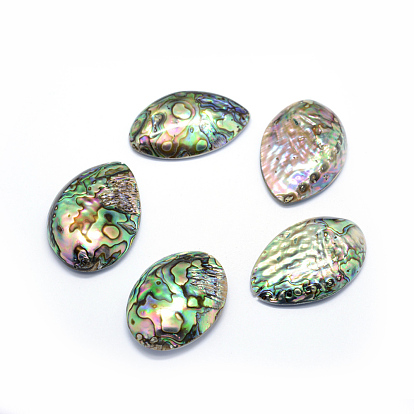 Natural Paua Shell Beads, Drop