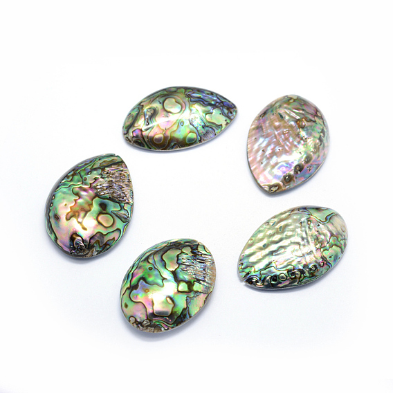Natural Paua Shell Beads, Drop