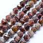 Natural Fossil Beads Strands, Star Cut Round Beads, Faceted