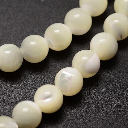 Natural Spiral Shell Beads Strands, Round