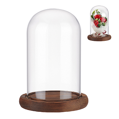 Glass Dome Cover, Decorative Display Case, Cloche Bell Jar Terrarium with Wood Base, for DIY Preserved Flower Gift
