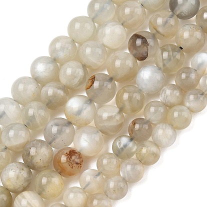 Natural Grey Moonstone Beads Strands, Smooth Round