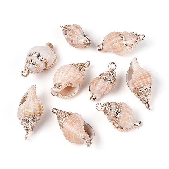 Подвески из натуральных ракушек с гальваническим покрытием, подвески в форме ракушек, с латунной фурнитурой , золотые