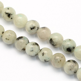 Jaspe de sésame naturel / jaspe de kiwi brins de perles rondes