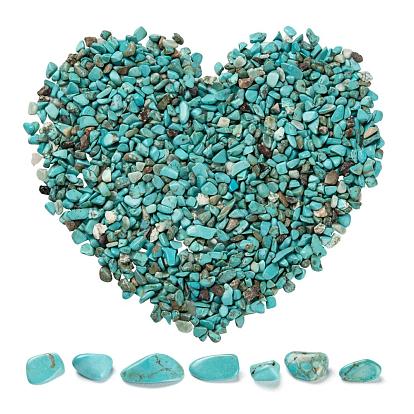 Synthetic Turquoise Chip Beads, No Hole/Undrilled, Dyed