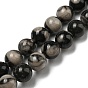 Natural Black Fossil Coral Beads Strands, Round