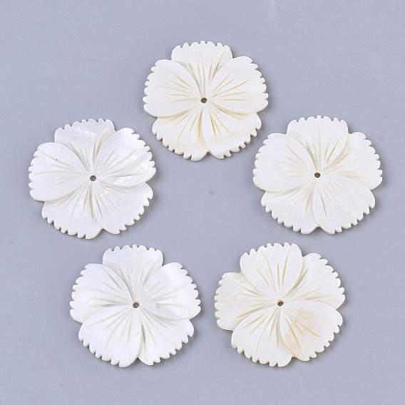 Freshwater Shell Beads, Flower
