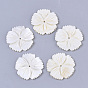 Freshwater Shell Beads, Flower