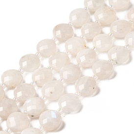 Natural Rainbow Moonstone Beads Strands, Faceted, Flat Round, with Seed Beads