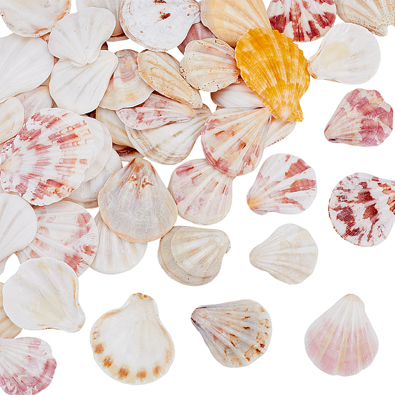 48 шт. поделки из натуральных ракушек, формы раковины, для украшения стен, декорации для аквариума, украшения для аквариума