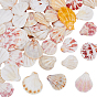 48 шт. поделки из натуральных ракушек, формы раковины, для украшения стен, декорации для аквариума, украшения для аквариума