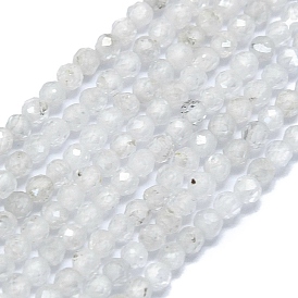 Natural Zircon Beads Strands, Faceted, Round