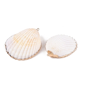 Natural Scallop Shell Big Pendants, Shell Shaped Charms with Golden Tone Iron Loops