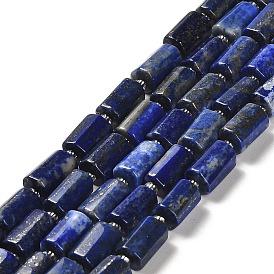 Natural Lapis Lazuli Beads Strands, with Seed Beads, Faceted, Column
