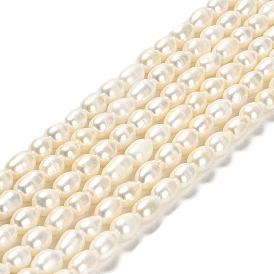 Natural Cultured Freshwater Pearl Beads Strands, Rice, Grade 2A+