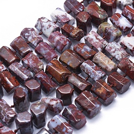 Natural Red Lightning Agate Beads Strands, Hexagonal Prism