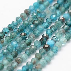  Natural Apatite Beads Strands, Faceted, Round