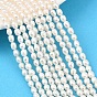 Нити из натурального культивированного пресноводного жемчуга, рис, класс 3а++