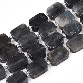 Natural Larvikite Beads Strands, with Seed Beads, Rectangle