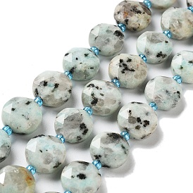 Natural Sesame Jasper/Kiwi Jasper Beads Strands, with Seed Beads, Faceted Hexagonal Cut, Flat Round