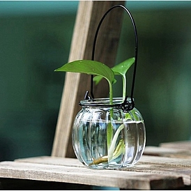 Pumpkin Shape Hanging Iron & Glass Planter, Terrarium Container Vase for Indoor Hydroponic Plants Home Office Garden Decor