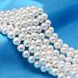AB Color Plated Shell Pearl Round Bead Strands