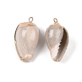 Natural Sea Shell Pendants, Shell Shaped Charms with Golden Tone Iron Loops