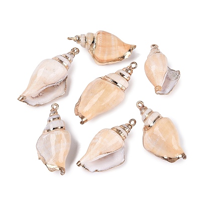 Pendentifs en coquillage spiralé naturel avec garniture en laiton doré électroplaqué, charmes de conque