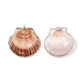 Natural Scallop Shell Pendants, Shell Shaped Charms with Golden Tone Iron Loops