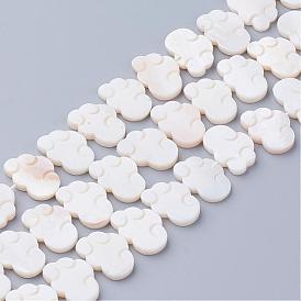Perles naturelles de coquillages blancs, perles en nacre, nuage