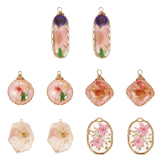 10шт 5 стили подвески из эпоксидной смолы, разнообразные, с сухих цветов, с использованием сплава и медной проволоки