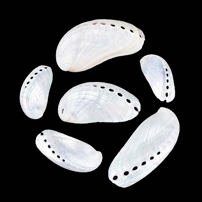 Украшения из ракушек-абалонов, наполнители для ваз, пляжная свадьба ракушки поделки