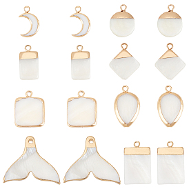 16Pcs 8 Style Natural Freshwater Shell Pendants, with Golden Plated Brass Findings, Moon & Fishtail & Flat Round & Rectangle & Rhombus & Teardrop & Square