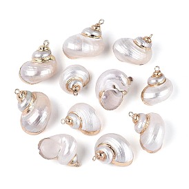Подвески из натуральных морских ракушек, покрытые гальваническим способом, подвески в форме ракушек, с медными петлями, золотые
