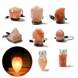 Lámpara de sal de roca natural del Himalaya, con 1 cable de alimentación (cable USB) o enchufe de pared (enchufe europeo), 1 bombilla (200w)
