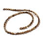 Natural Picture Jasper Beads Strands, Flat Oval